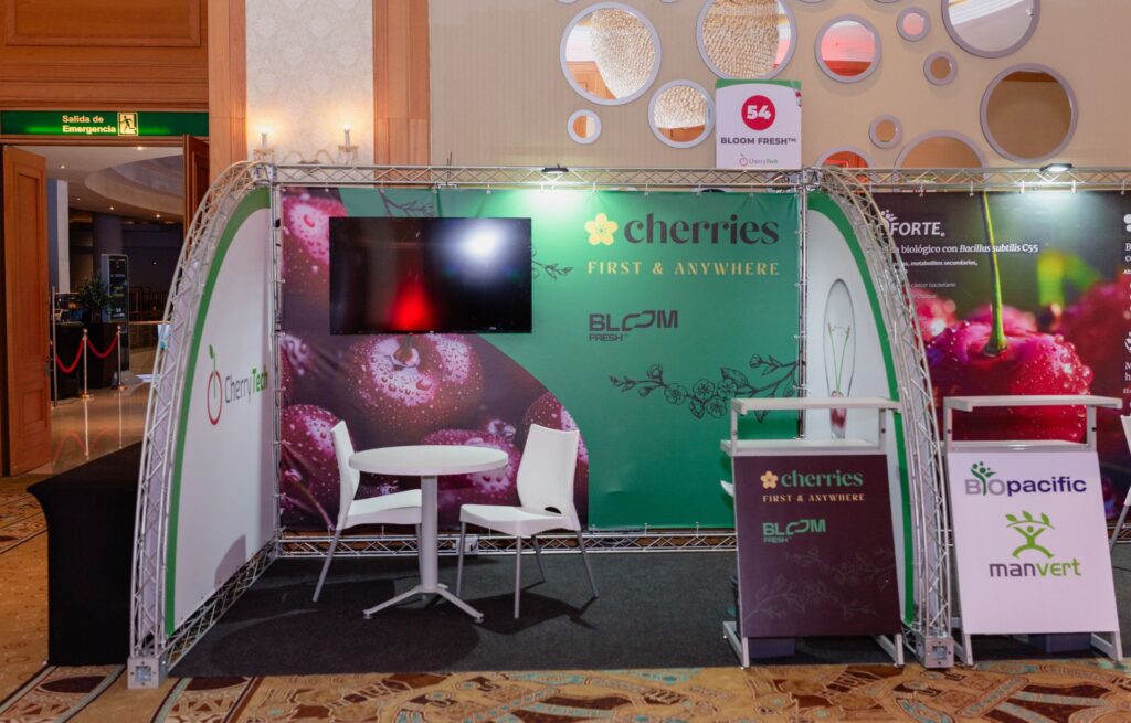 Copia de Copia de 005