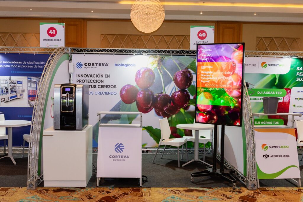 Copia de Copia de 028