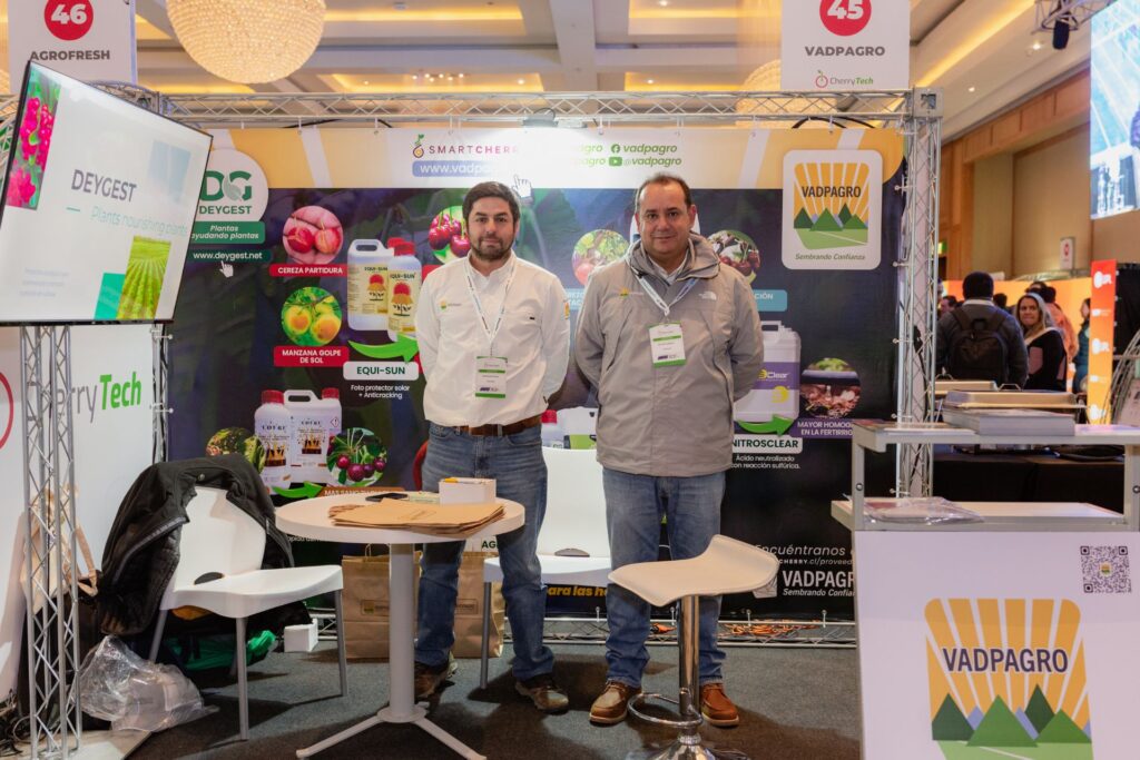 Copia de Copia de 293