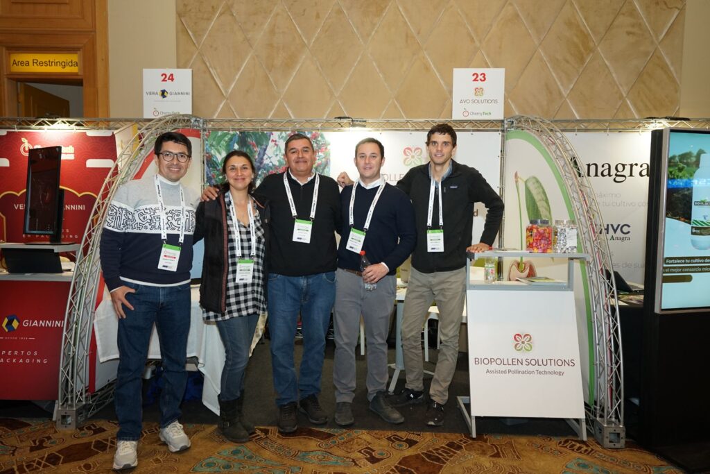 Copia de Copia de YGc2 (159)