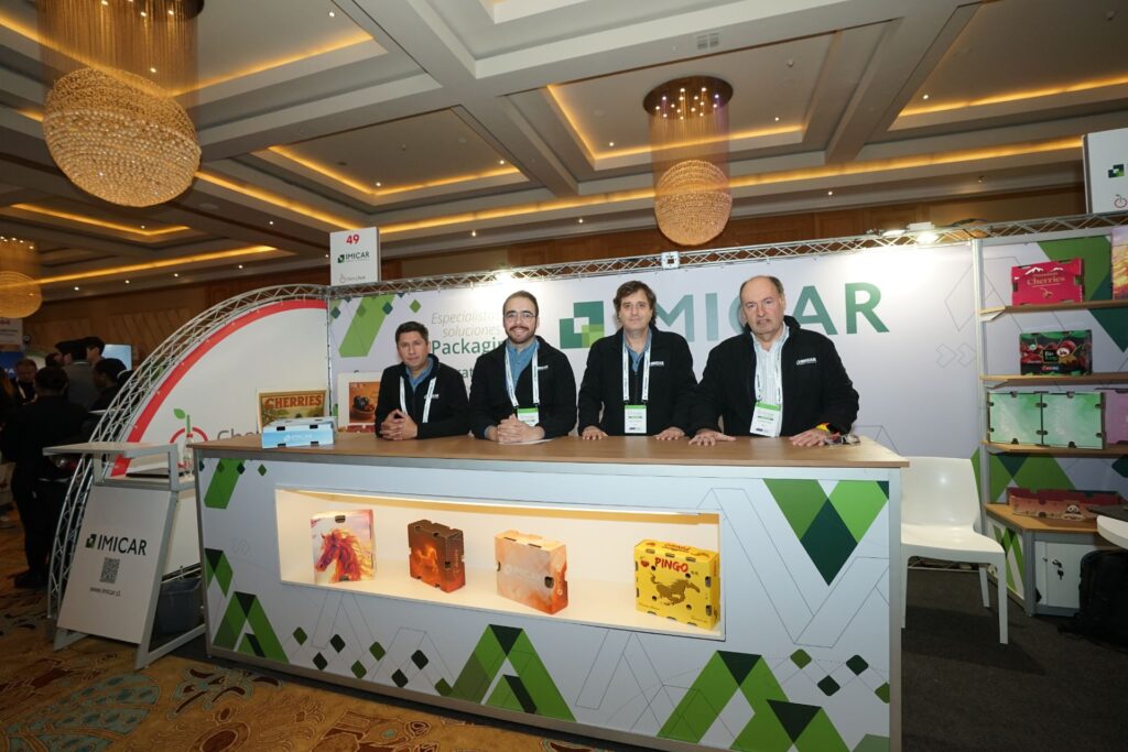 Copia de Copia de YGc2 (213)