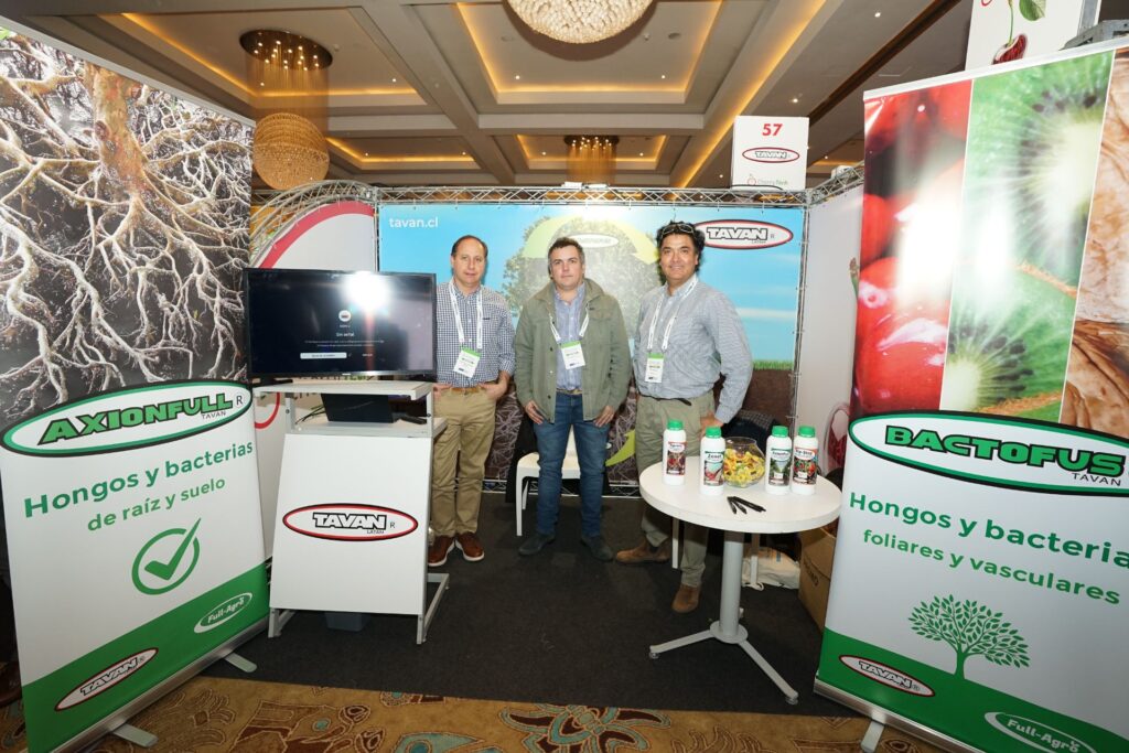 Copia de Copia de YGc2 (228)