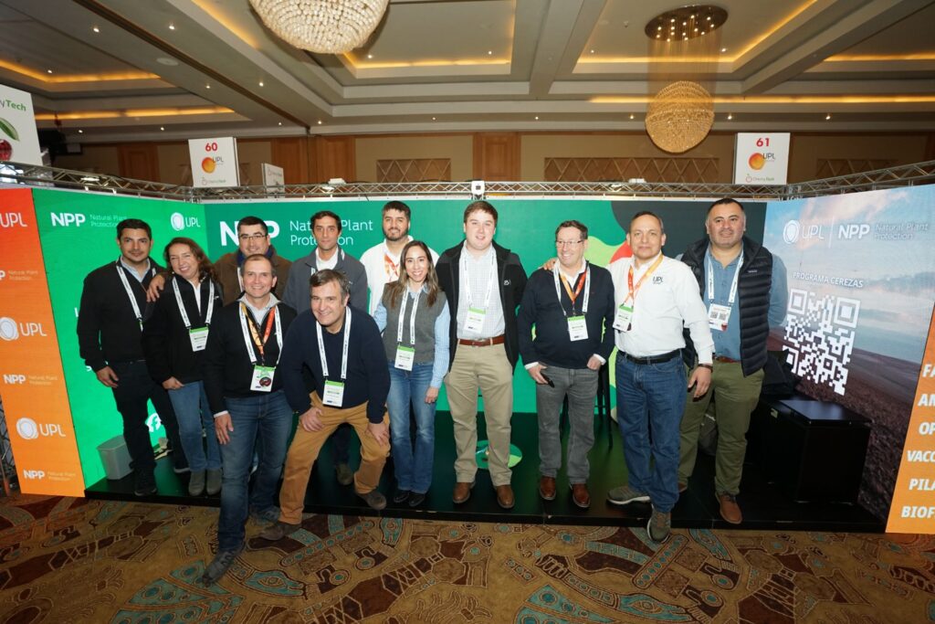 Copia de Copia de YGc2 (235)